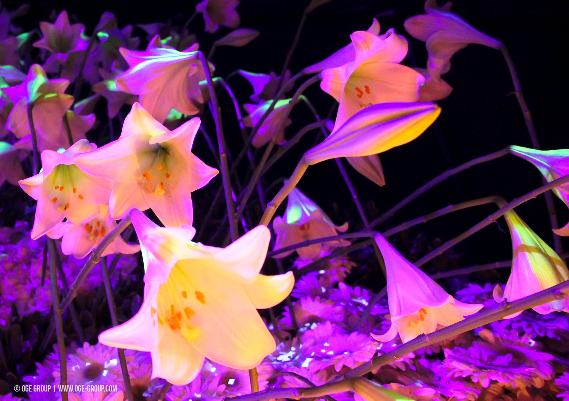OGE-Flower-Show-Secret-13
