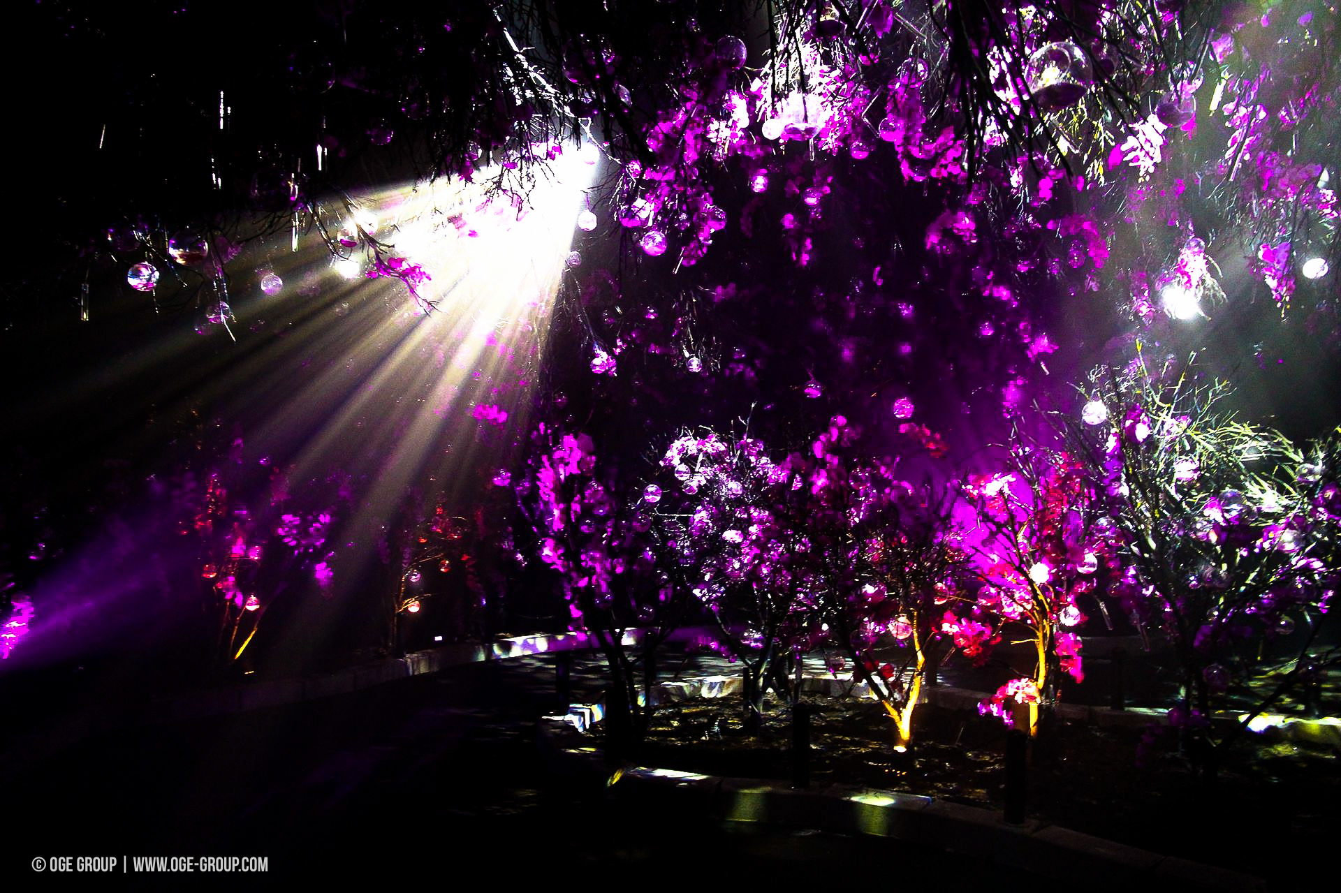 OGE-Flower-Show-upside-21