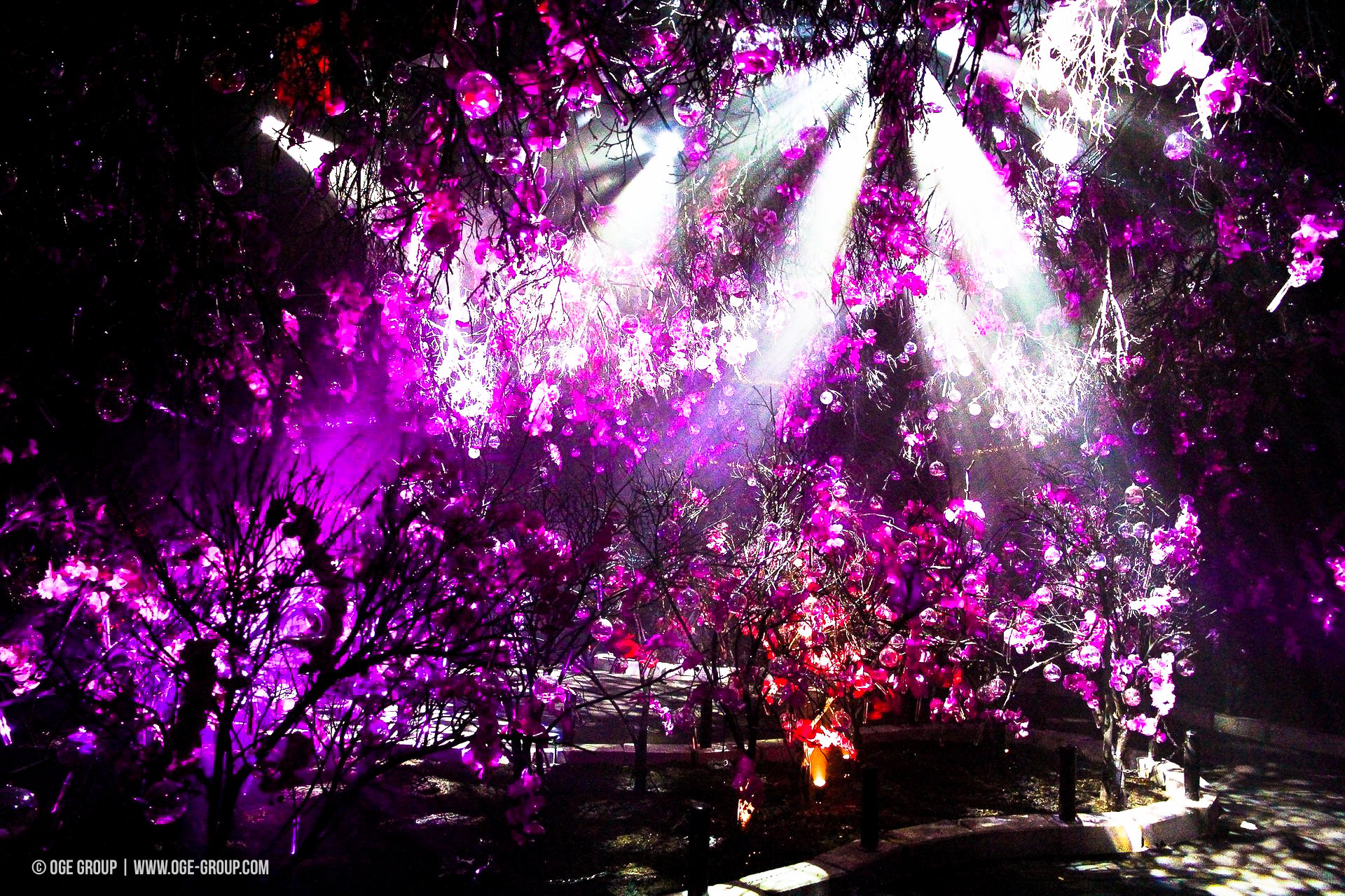 OGE-Flower-Show-upside-1