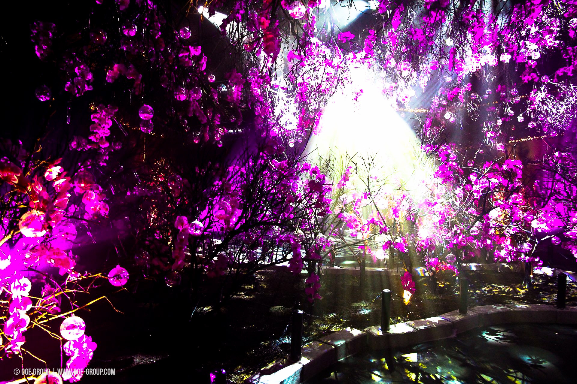 OGE-Flower-Show-upside-22