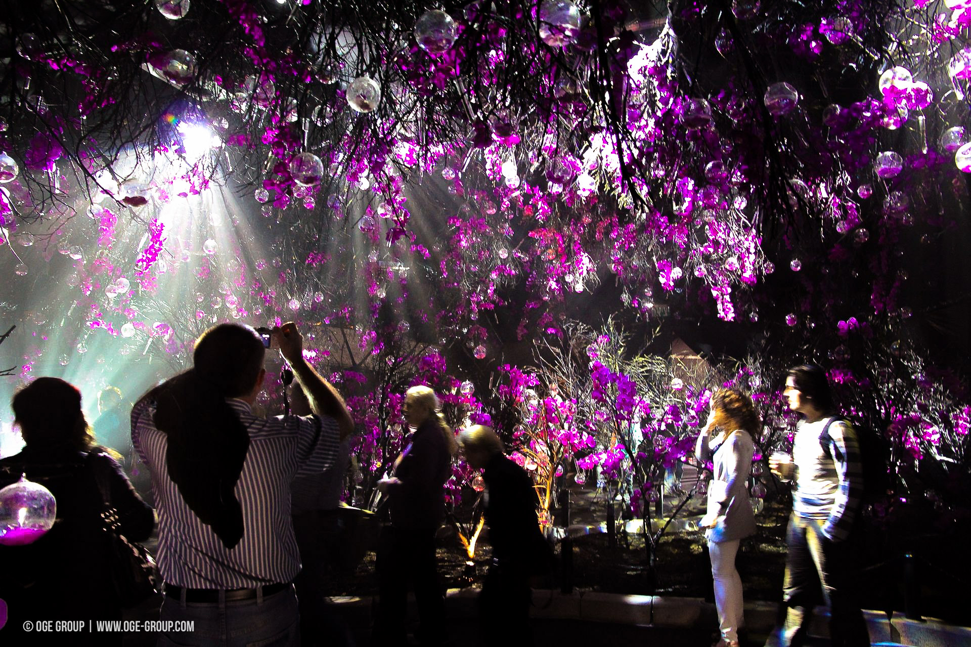 OGE-Flower-Show-upside-13