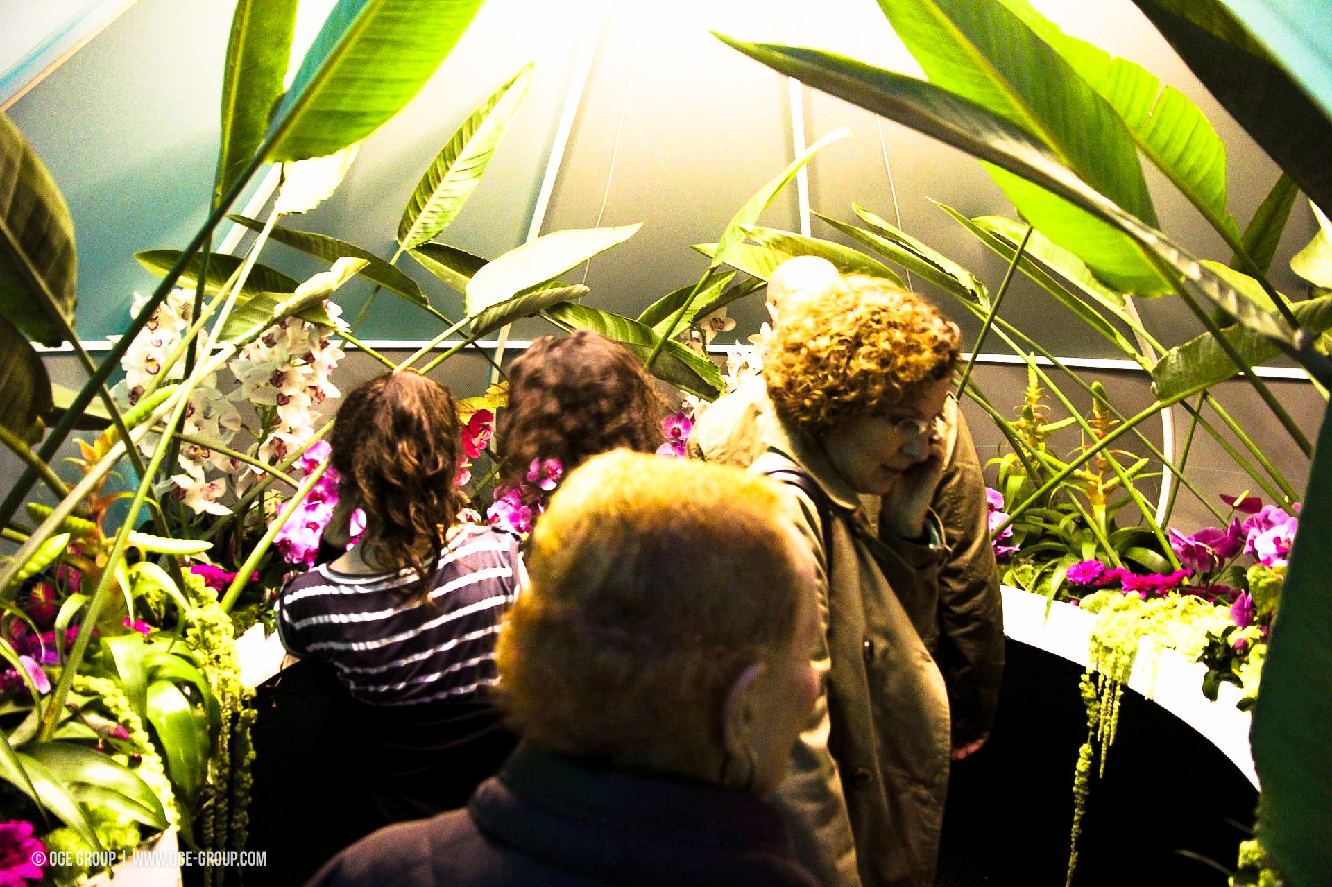 OGE-Flower-Show-Scents-19