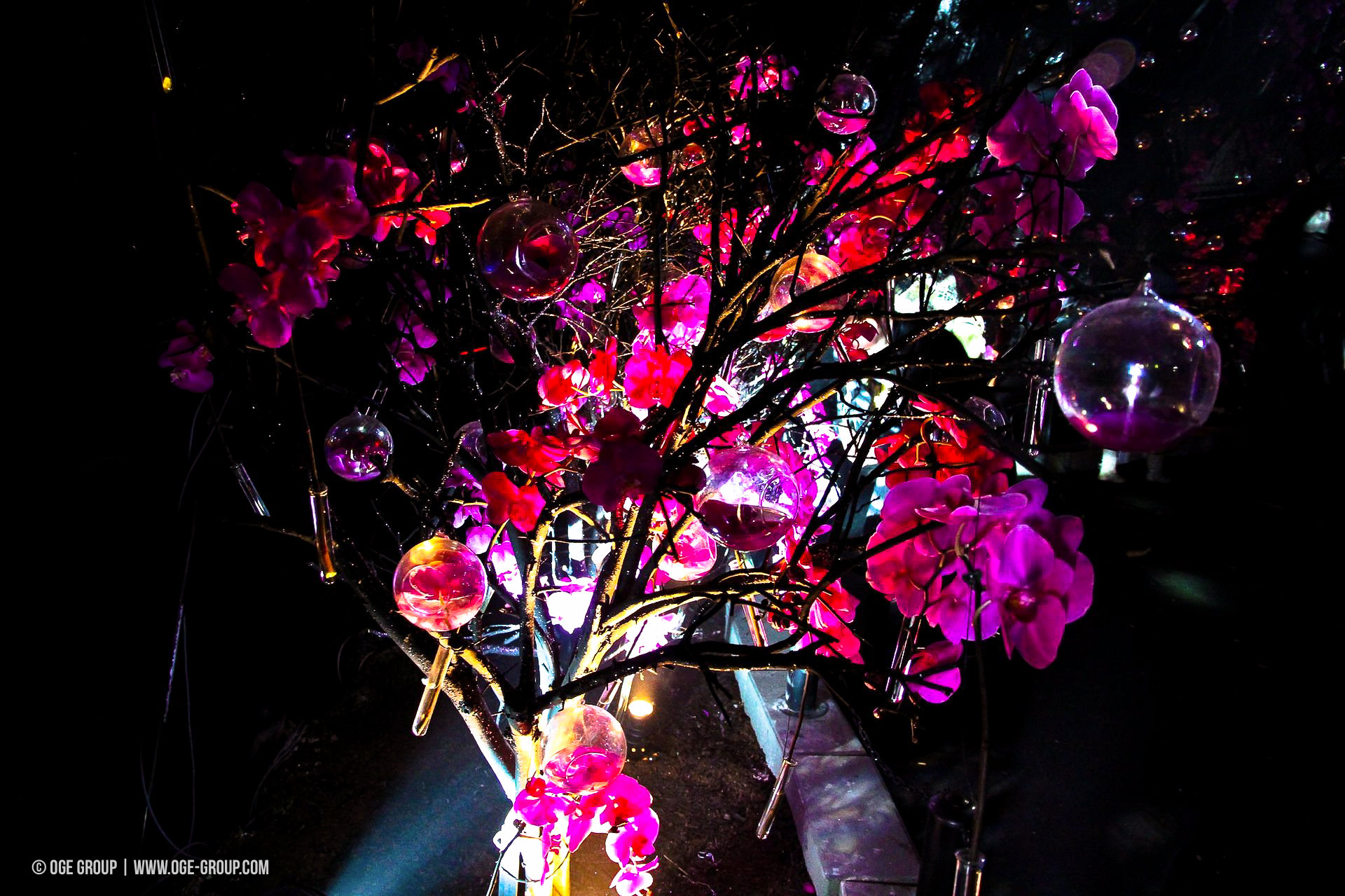 OGE-Flower-Show-upside-9