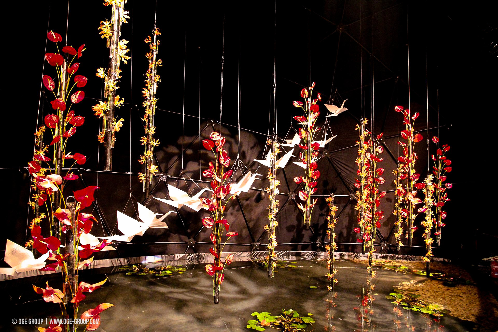 OGE-Flower-Show-Asian-2