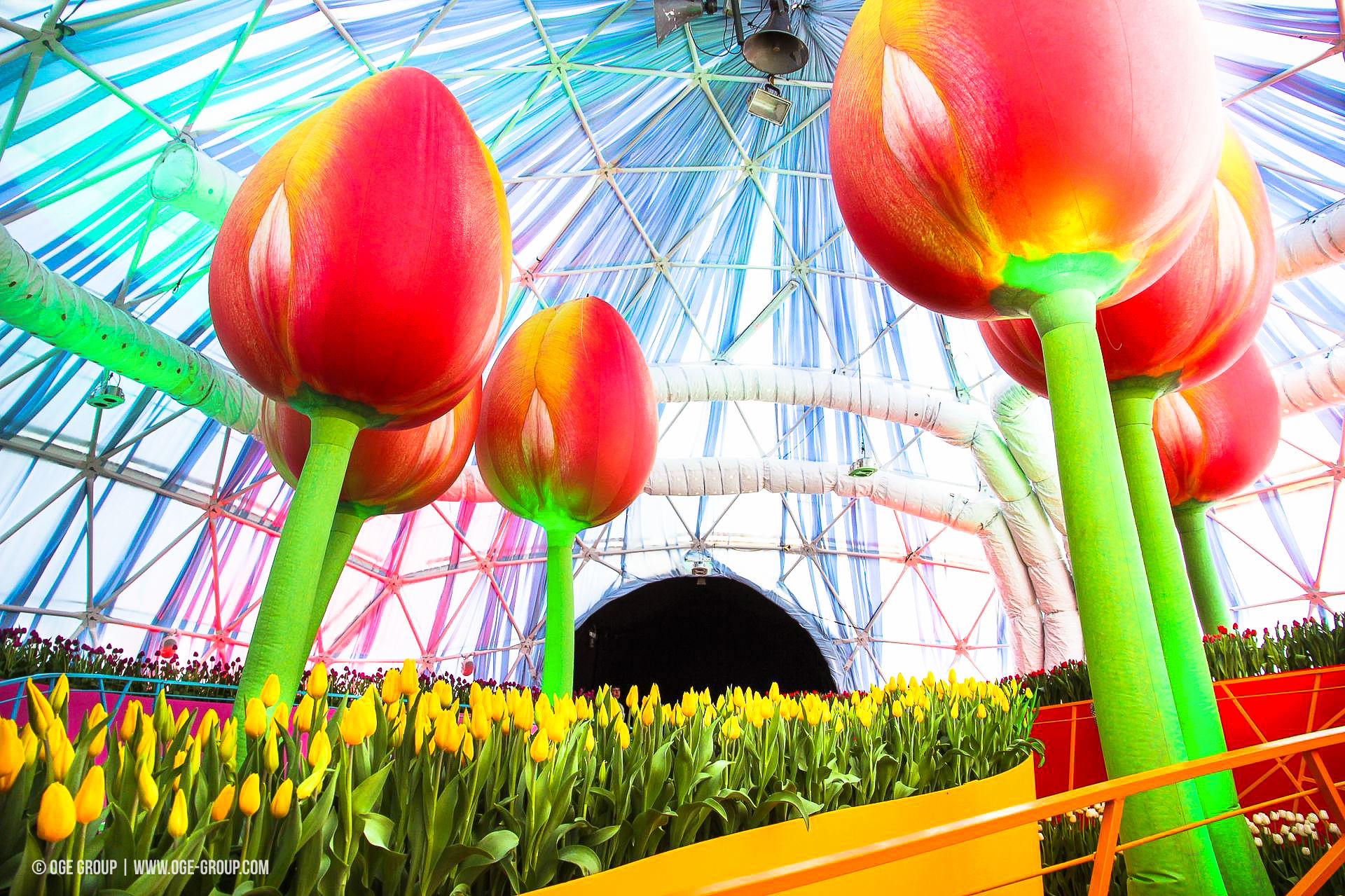OGE-Flower-Show-Rainbow-8