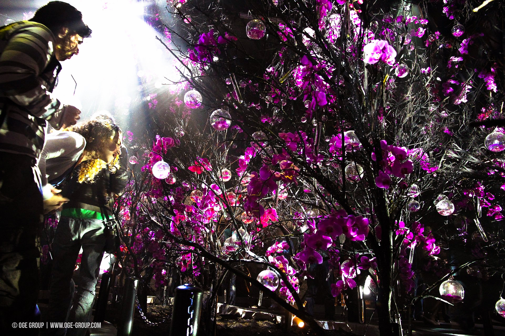 OGE-Flower-Show-upside-11