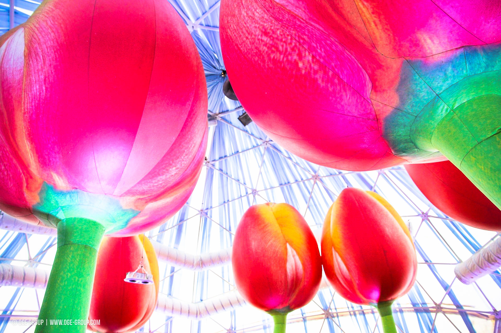 OGE-Flower-Show-Rainbow-14