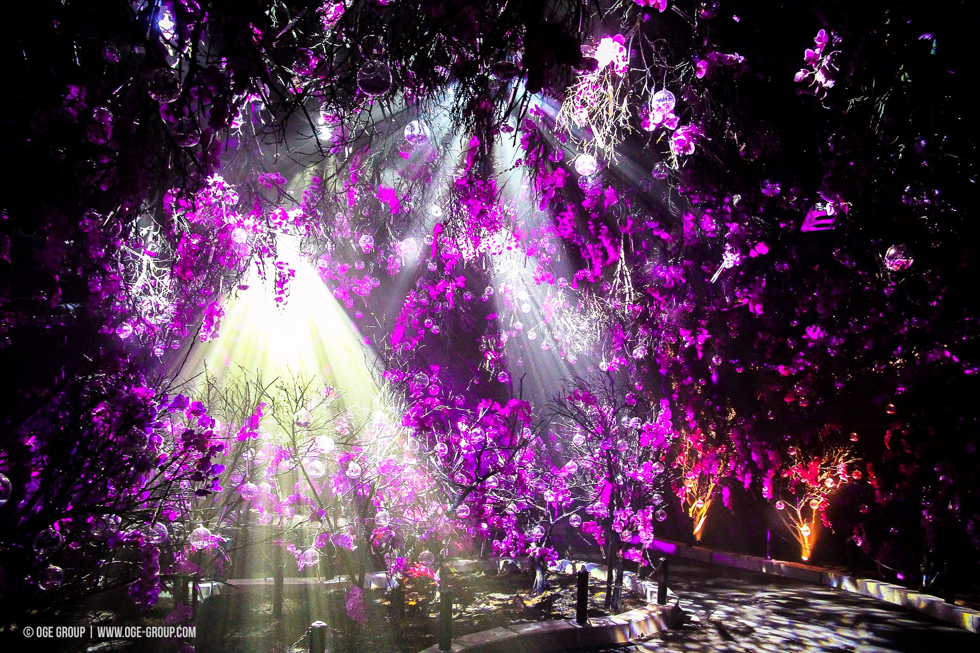 OGE-Flower-Show-upside-7