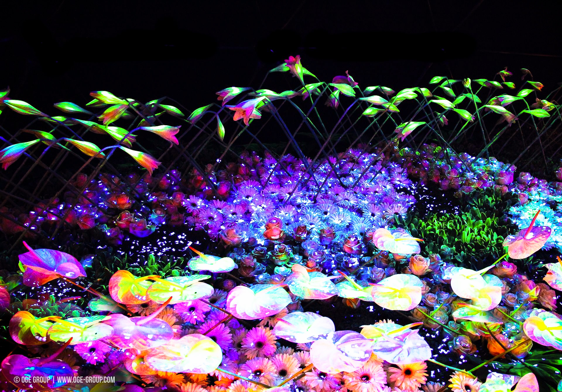 OGE-Flower-Show-Secret-10