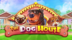 The-Dog-House Review