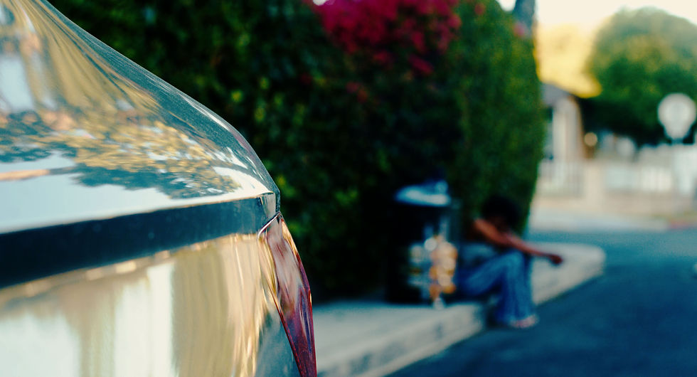 Close-up of a car reflecting trees. In the blurred background, a person sits on a curb beside a trash can, with greenery and pink flowers nearby.