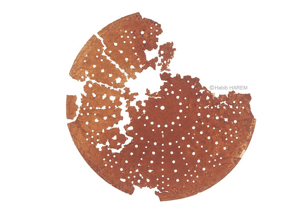 Espaces reconstitués