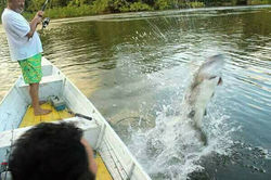 29341239_201067387162105_2038696522_n