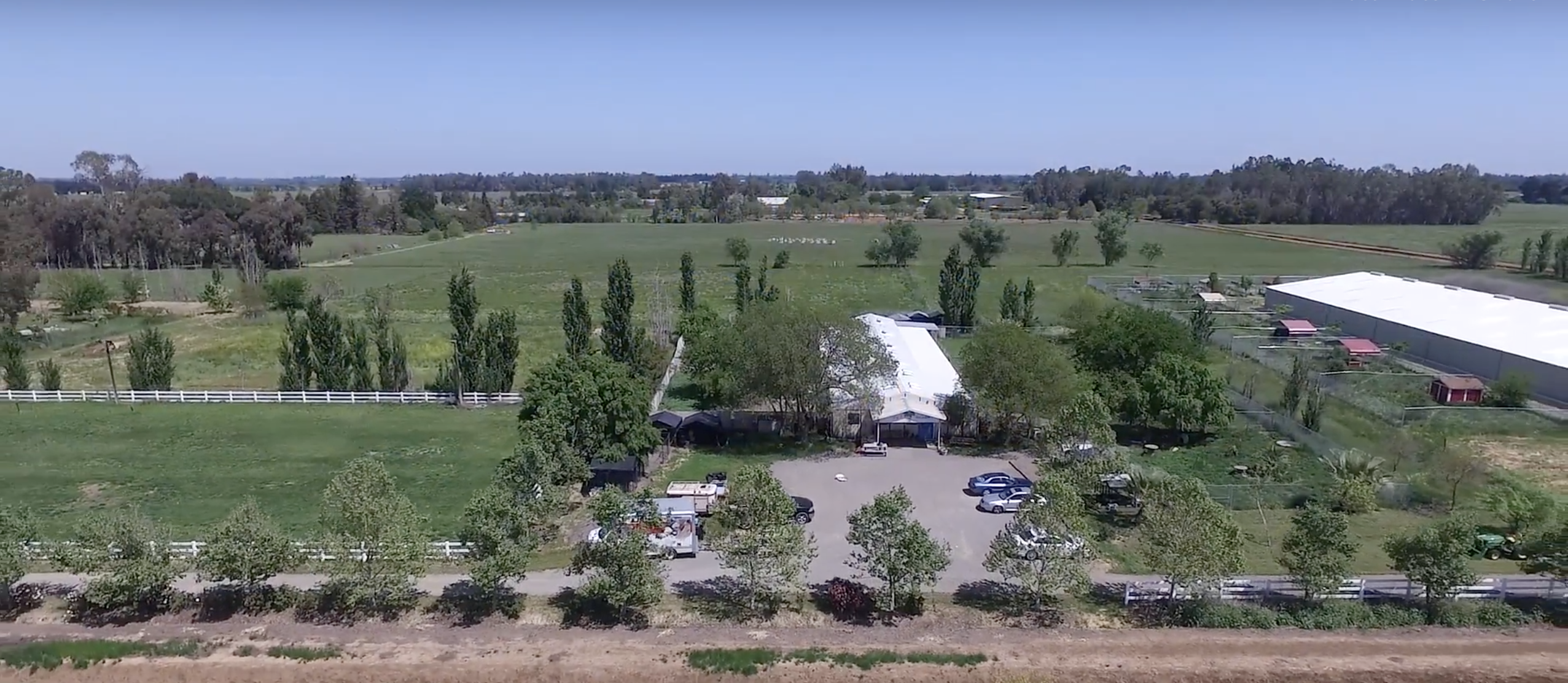 Boarding 29 Palms Pet Resort Best in Yolo County