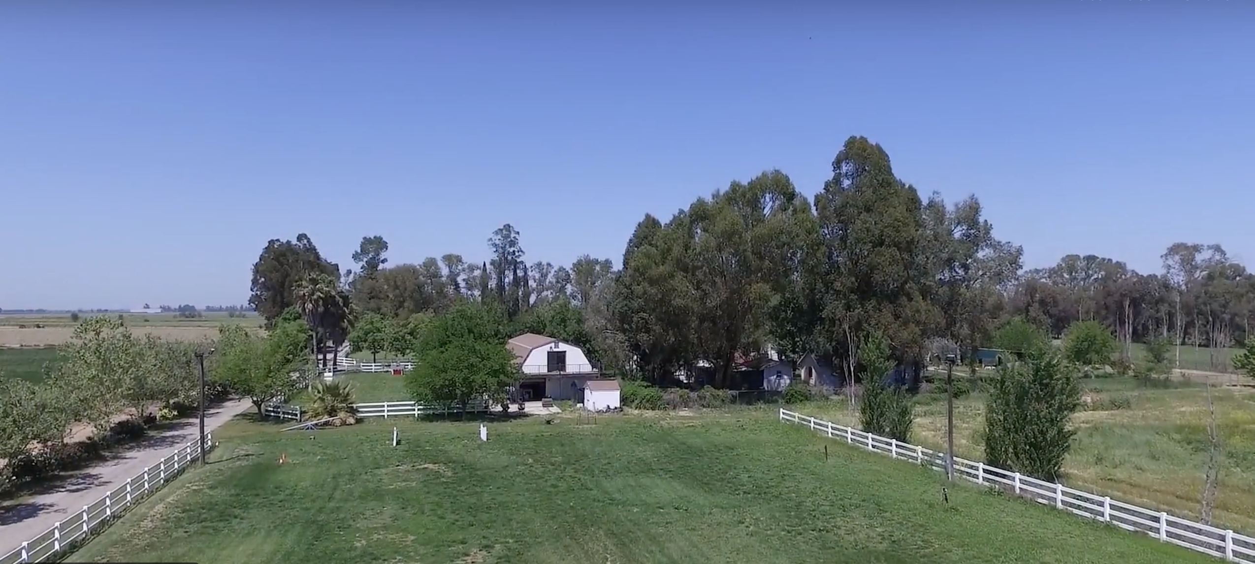 Boarding 29 Palms Pet Resort Best in Yolo County