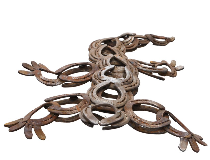 Salamandre 2.png