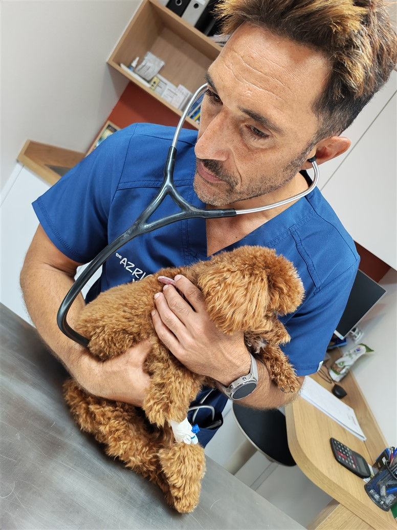 Docteur Azria Véto. Clinique Vétérinaire - 06310 - Beaulieu-sur-Mer