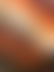 Agence DAT immobilier L'Immobilier Autrement - 06500 - Menton