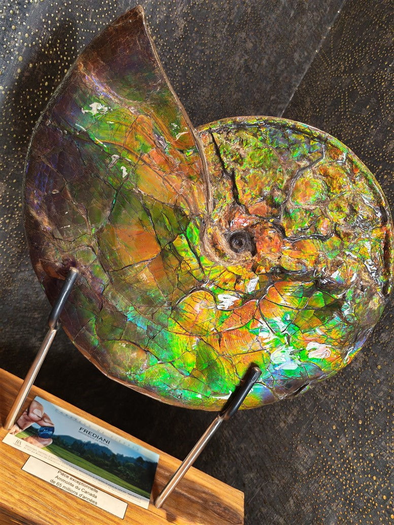 Frediani Joaillier d'Exception - 06000 – Nice