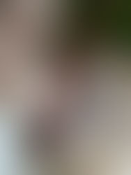 Foodie Nice Brunch & Coffee - Shop - 06000 - Nice