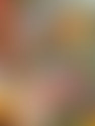 Posto 17 Table Italienne Généreuse - 06300 - Nice