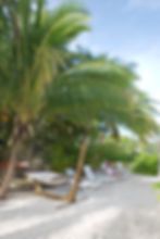 Our beach area