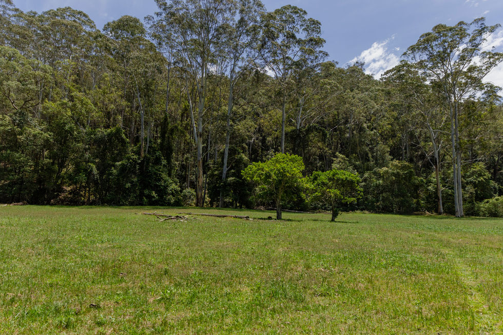 Orange Trees Paddock