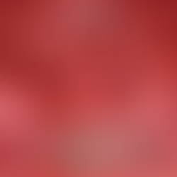 Illawarra Hawks NBL1 Head Coach - Men's and Women's