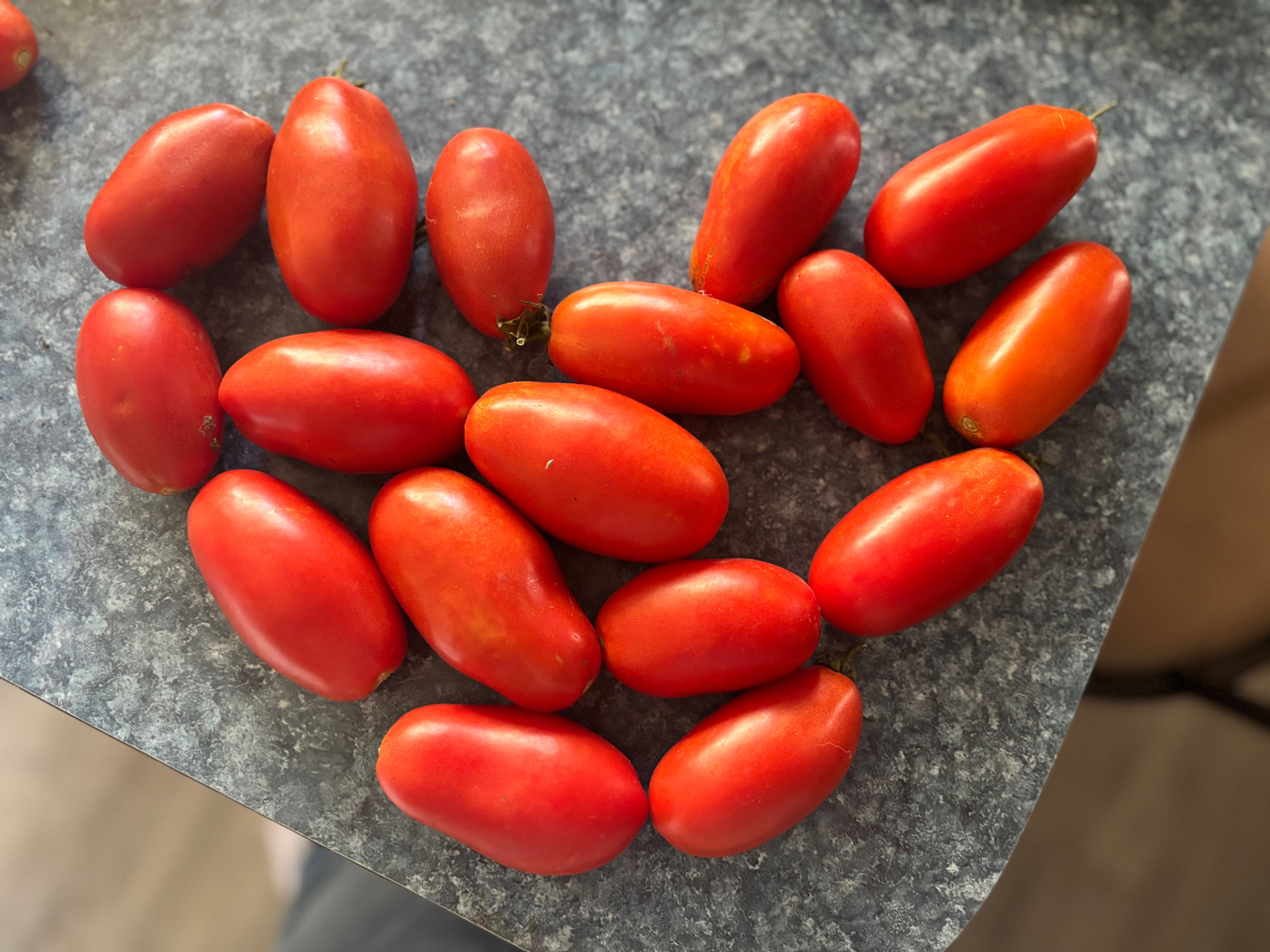 Roma Tomatoes