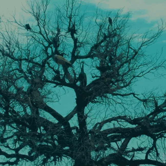 GIF KAROONJHAR TEMP.gif