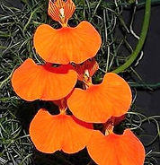 image 33.jpg