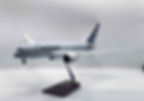 AA 787.jpg