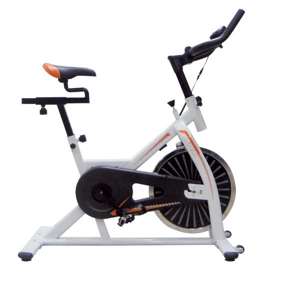 Aparato de Ejercicio LYNX Con Velocimetro*