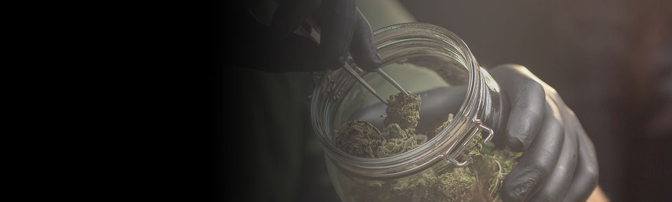 Cannabis-Header.jpg