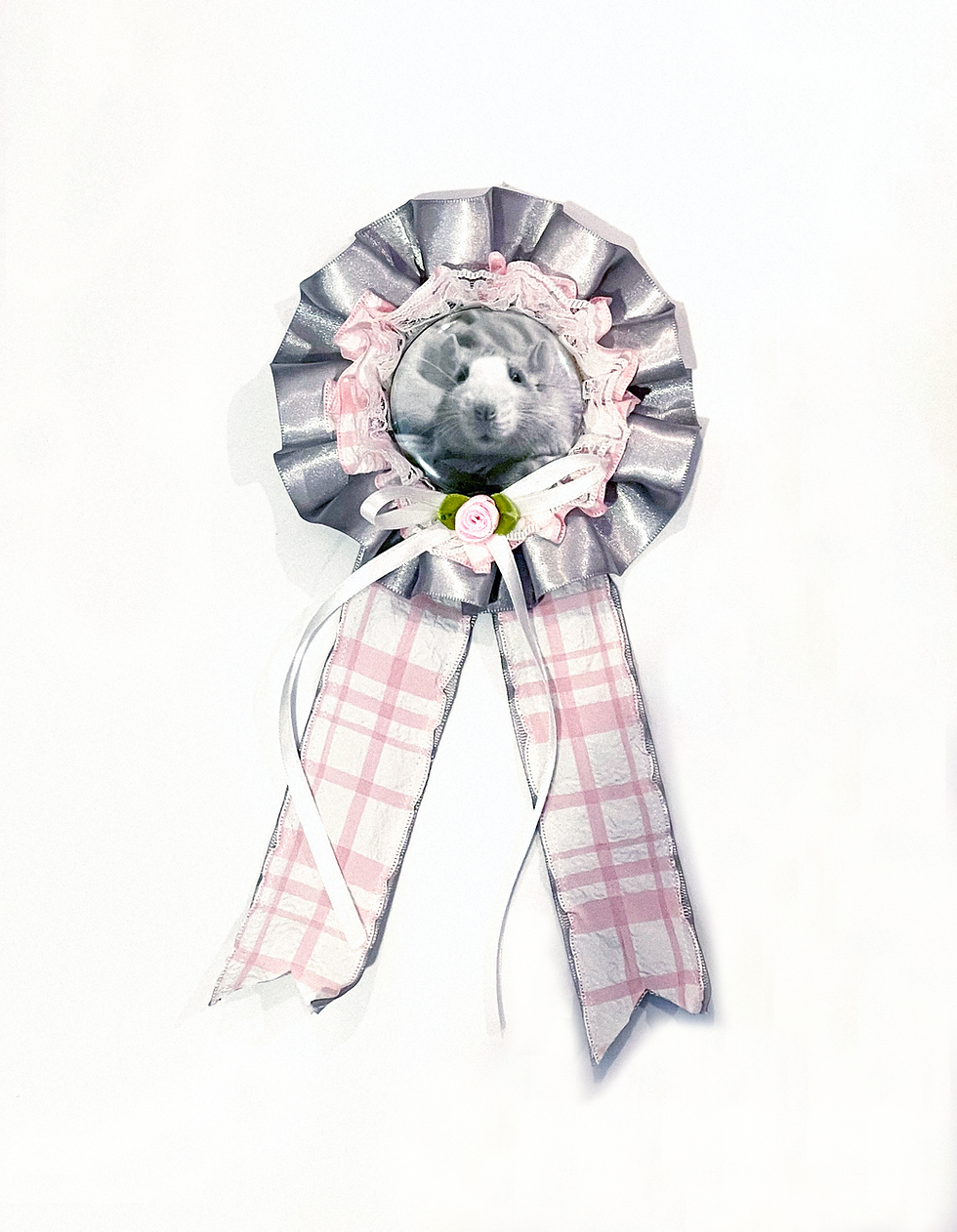 Thumbnail: Handmade Rat Award Ribbons