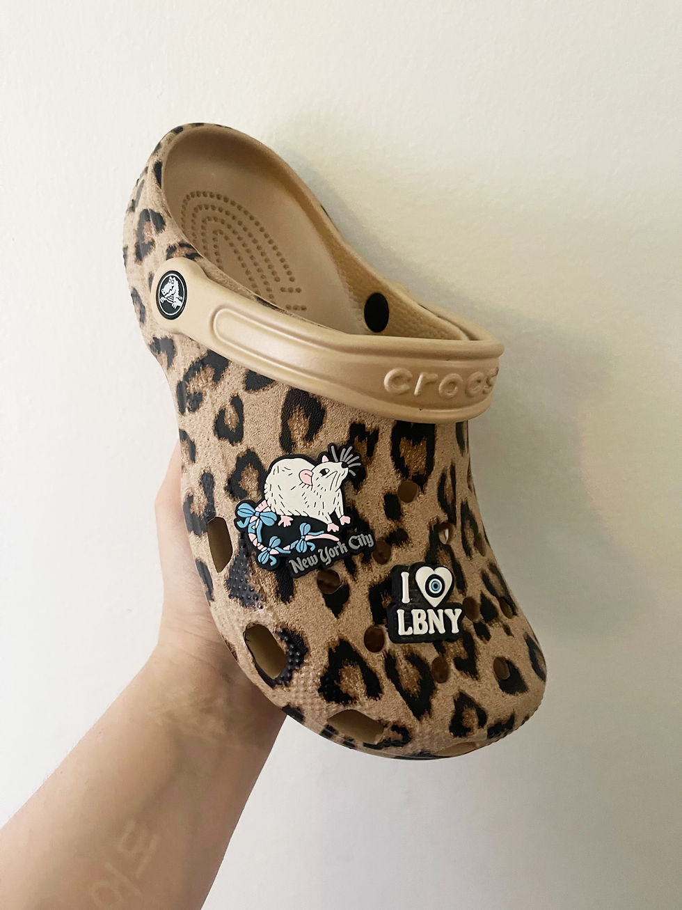 Thumbnail: FY Croc Charm set