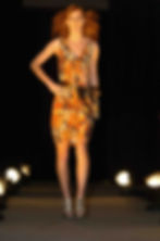 Petofi Dress (1)