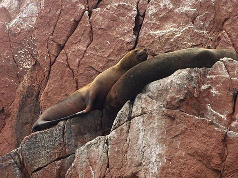 7 Day Itinerary in Peru