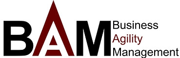 LOGOTIPO BAM (1).jpg