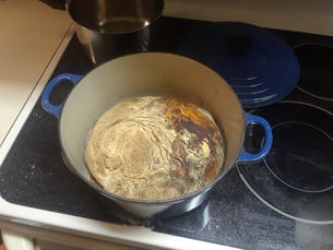 Learning new skills!