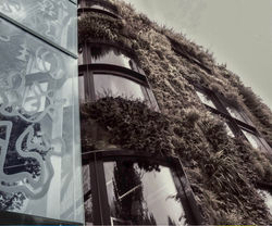 Oran 2006 (1 sur 16)