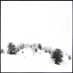 snow 2009 2