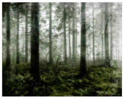 Col du calvaire 2013 (5 sur 7)