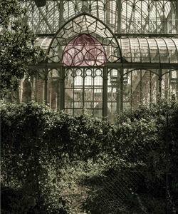 Oran 2006 (7 sur 16)