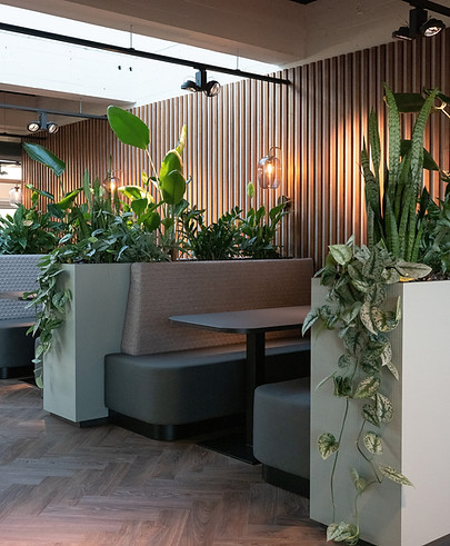 the Fresh Perspective_Fyffes treincoupe_interieurontwerp.jpg