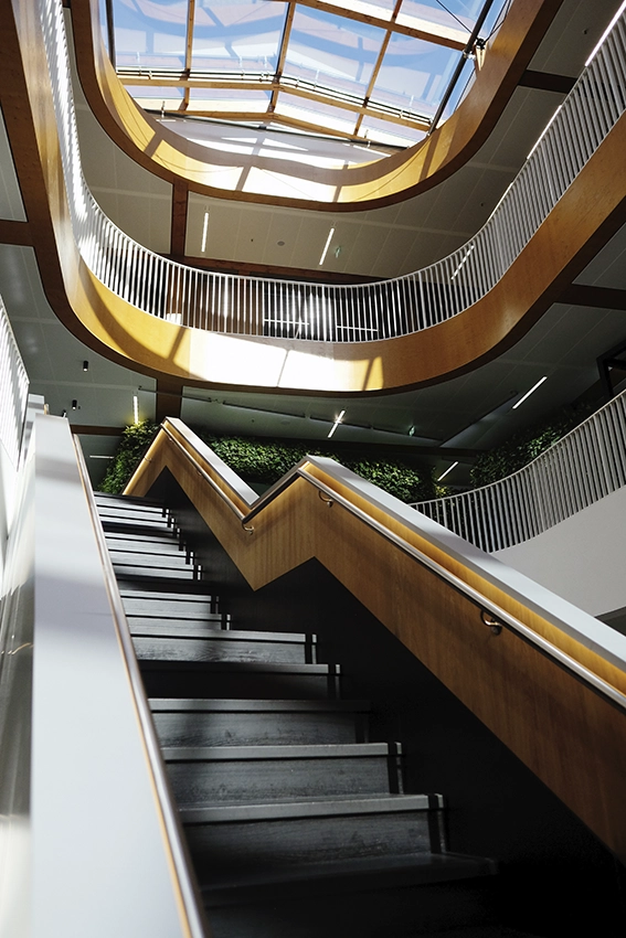 the Fresh Perspective_Garage_social space_interieurontwerp_trap bovenlicht.webp