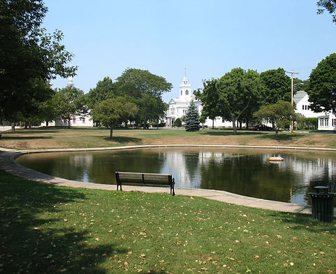 Brothers Tree Services Removal Cohasset