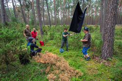 Akcja obrączkowania bocianów czarnych