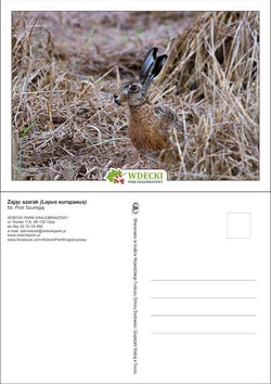 Wdecki Park Krajobrazowy - pocztówki