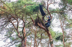 Akcja obrączkowania bocianów czarnych